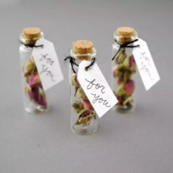 Seeds With Glass Case